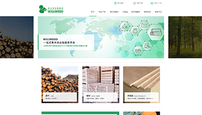 青島網(wǎng)絡(luò)營銷